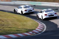 Bentley Motorsport - Bentley Continental GT3