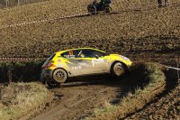 Guillaume de Mevius - Peugeot 208 R2