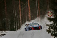 Thierry Neuville - Hyundai i20 WRC
