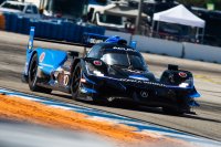 Wayne Taylor Racing - Acura ARX-05
