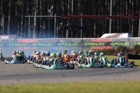 Rotax Junioren