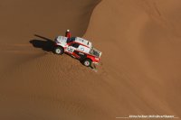 Loomans-Driesmans - Toyota