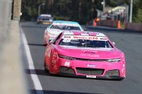 Gianmarco Ercoli - Caal Racing - Chevrolet Camaro