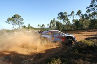 Thierry Neuville - Hyundai i20 WRC