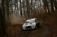 Kris Princen - Peugeot 208T16 R5