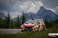 Sebastien Loeb - Peugeot 208 R5