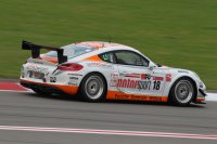 Peter Terting/Carsten Struwe - Porsche Cayman 981 SP
