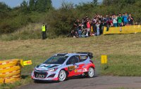 Thierry Neuville - Hyundai i20 WRC