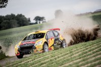 Guillaume de Mévius - Peugeot 208 T16