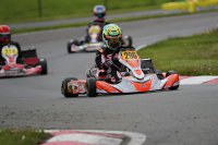 Gil Mertens - KZ2