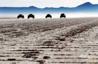 Dakar 2015