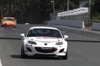 Racing Stars - Mazda MX-5