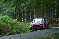 Pierre-Louis Loubet - Hyundai I20 WRC