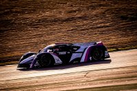Les Deux Arbres - Ligier JS P4