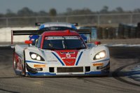 Action Express - Corvette DP