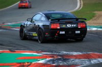 Brass Racing - Ford Mustang