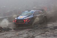 Thierry Neuville - Hyundai i20