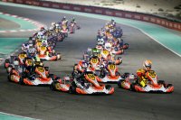 Rotax Junioren