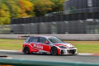 GTE Racing - VW Golf GTI TCR