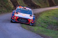 Thierry Neuville - Hyundai i20