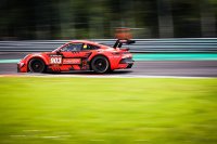 Red Ant Racing - Porsche 911 GT3 Cup (992)