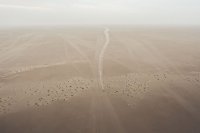 Africa Eco Race 2020 in Mauritanië