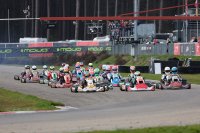 Rotax DD2