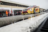 Tom Coronel - ROAL Motorsport