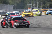 Norbert Michelisz - Zengo Motorsport Honda Civic WTCC