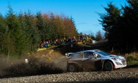 Thierry Neuville - Hyundai i20 WRC