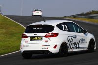 Berry van Elk - Ford Fiesta