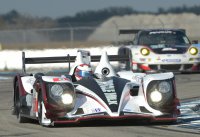 Muscle Milk Pickett Racing - HPD ARX-03c