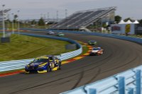 Atlanta Speedwerks - Honda Civic TCR