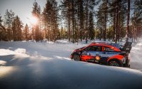 Thierry Neuville - Hyundai i20 WRC
