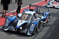 Steve Tandy - Peugeot 90X