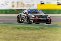 Red Ant Racing - Porsche 911 GT3 Cup