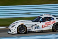 Riley Motorsports - Dodge Viper GT3-R