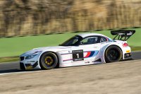 Alex Zanardi - ROAL BMW Z4 GT3