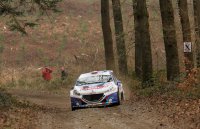 Kris Princen - Peugeot 208T16 R5