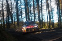 Kris Meeke - Citroën DS3 WRC