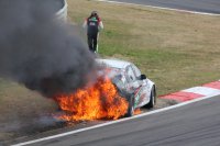Comparexracing - BMW WTCC