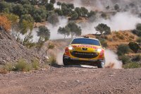 Thierry Neuville - Peugeot 207 S2000