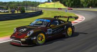 Flemish Simsports Yellow by Viraco - Porsche 911 GT3 Cup (992)