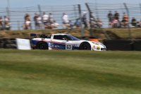 Nicolas Vandierendonck - SRT Corvette ZR1 GTE