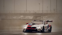 BMW Team RLL - BMW M8 GTE
