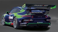 Didier Van Dalen - Porsche 991 GT3 Cup