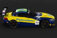 BMW Team Brasil Livery 2015