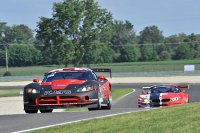 Lev Fridman - Dodge Viper GT3