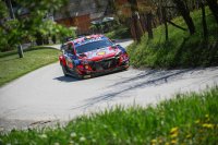 Thierry Neuville - Hyundai i20 WRC