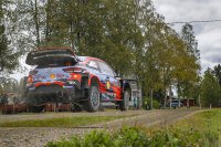 Thierry Neuville - Hyundai i20 WRC